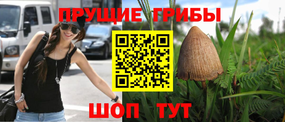 Междуреченск  Галлюциногенные грибы ЛСД  Вход с VPN 